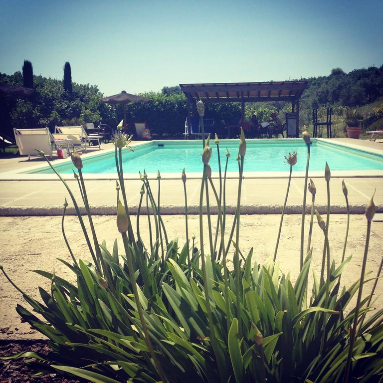 Il Borghetto Andrea Tafi Guest House Lamporecchio Exterior foto